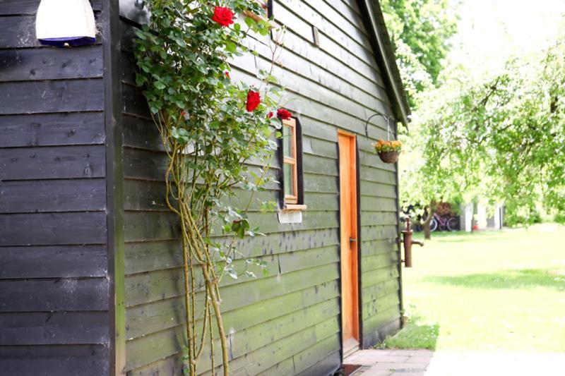 هيدكورن Wilderness B&B 3 Self Contained Rooms Nr Sissinghurst المظهر الخارجي الصورة