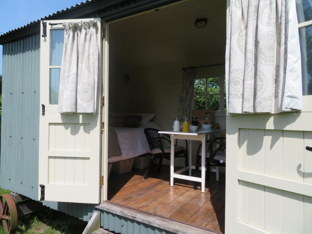 هيدكورن Wilderness B&B 3 Self Contained Rooms Nr Sissinghurst المظهر الخارجي الصورة